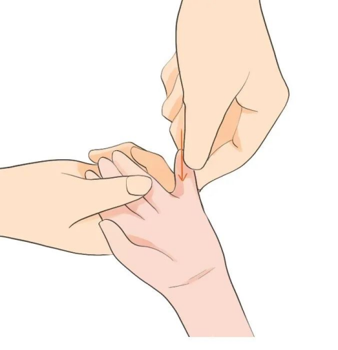 微信图片_20231123103128.png