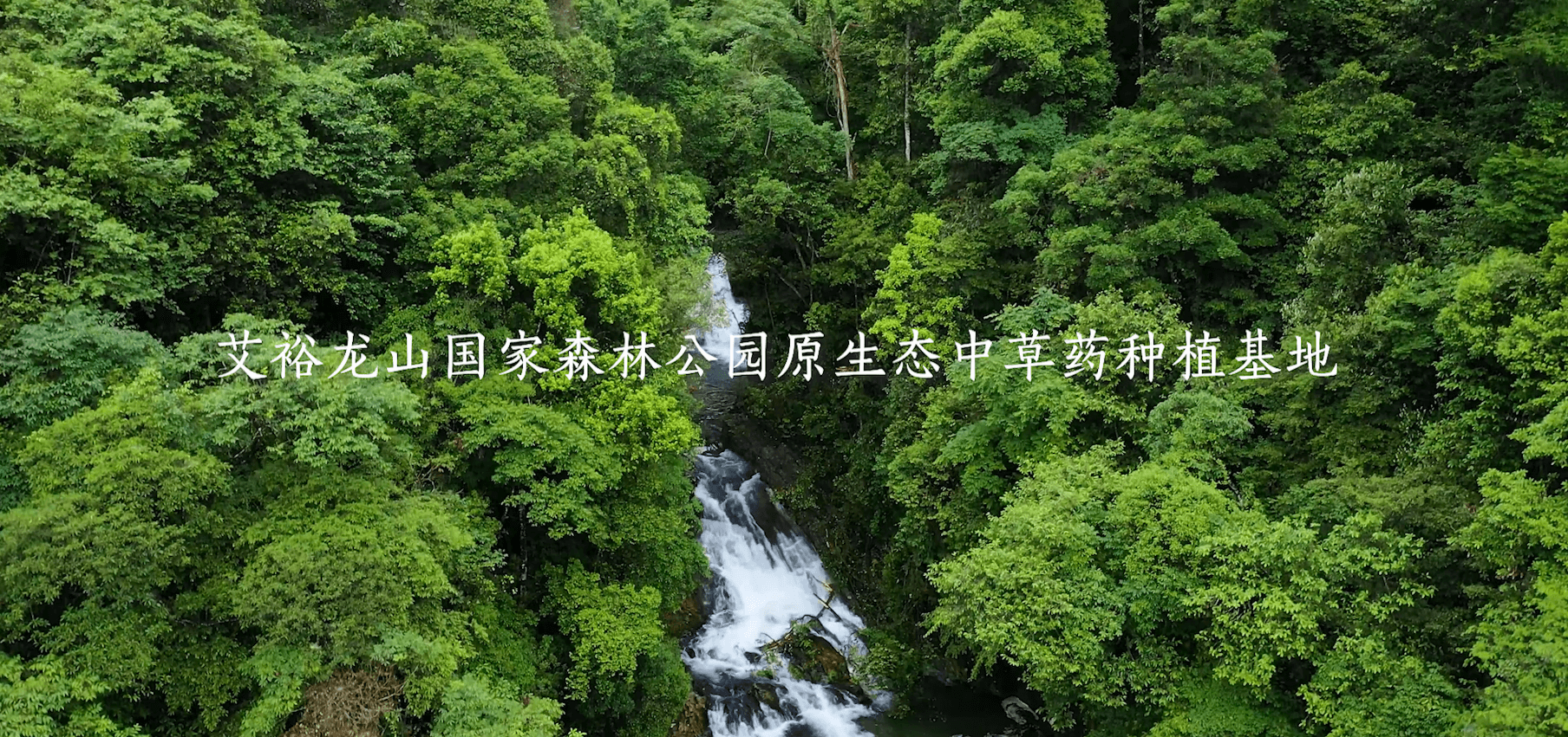 图7-种植基地.png